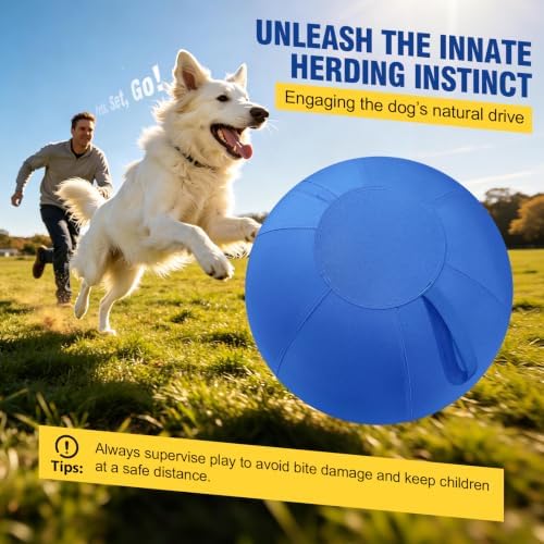 Herding Ball for Dogs Large for Australian Shepherd, Blue, Medium