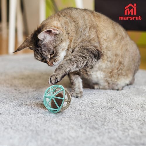 Squeaky Mouse Ball Cat Toy with Simulated Sound, 4.3in Mouse Ball Cage, Squeky Balls for Cats to Play With Indoor, Interactive Plastic Squeak Funny Toys Best for Playing Chasing Chewing Training