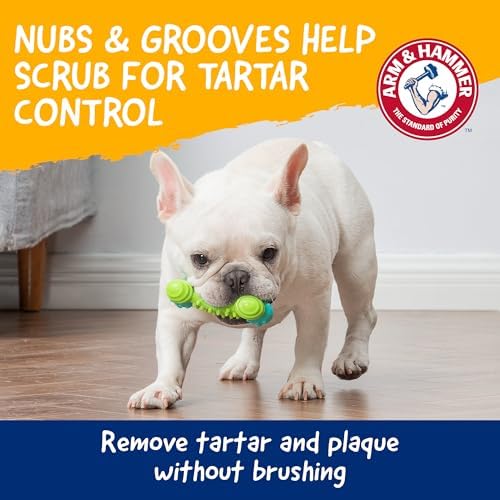 Arm & Hammer Nubbies Duality Bone Dental Dog Chew Toy, Apple Flavor, 2-Pk