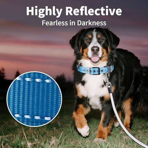 Segarty Reflective Boy Dog Collar for Extra Large Dogs, Adjustable Wide Soft Comfortable Breathable Neoprene Padded Nylon Collar with Heavy Duty Metal Buckle for Extra Large Breeds (XL, Light Blue)