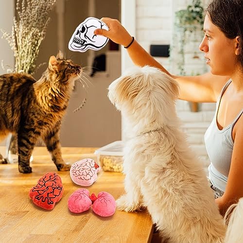 Plush Halloween Catnip Toys for Indoor Cats 4 Pack
