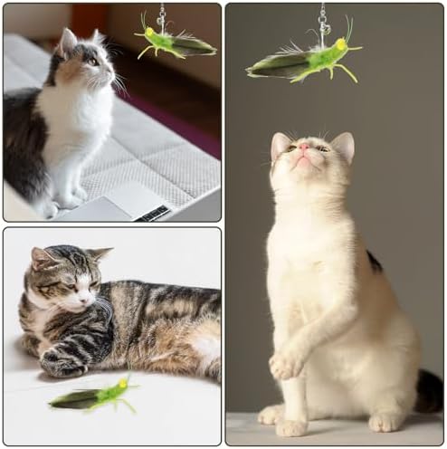 Ptwola Cat Feather Toys Refills 3 Pack Insects Grasshopper Cat Toy Wand Fun Replacement Feathers Small Cats Interactive Toys Hanging Toy Attachments for Indoor Kittens Cats Teaser Wand Accessory