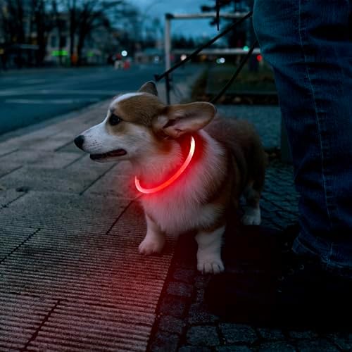 Flashseen LED Dog Collar, USB Rechargeable Glow Lighted up Collar, Red