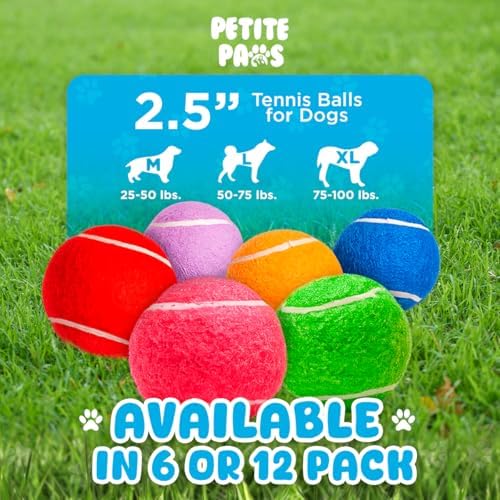 BundleBee Petite Paws Squeaky Tennis Balls for Dogs 2.5 Inch - 12 Pack Dog Toy Balls - Non-Toxic Rubber Squeaky Balls for Medium Large Dogs, Fetch Training Toys, Colorful Bouncy Dog Ball