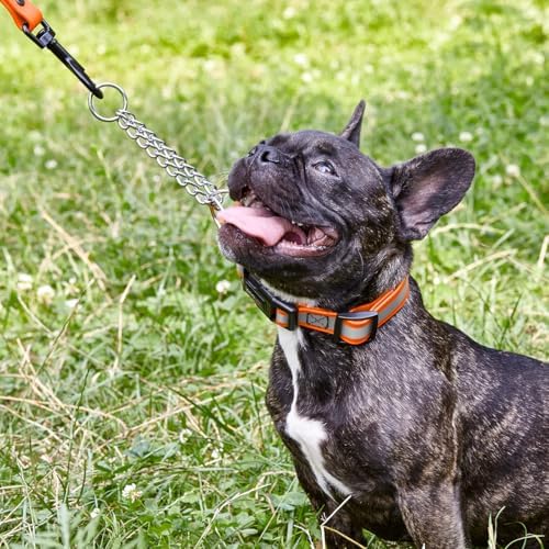Dogline Reflective Martingale Collar for Dogs with Quick Release Buckle – Biothane Dog Collar with Herm Sprenger Assembly Chain – Waterproof No Pull Dog Collar, L 11”-15”, Hunter Orange