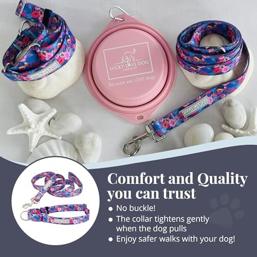 Lucky Love Dog Martingale Collar & Leash Set No Slip Cute – Zuzu, Medium