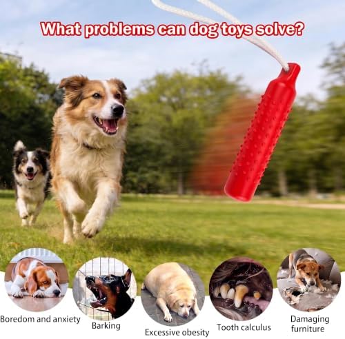 Floating Dog Water Pool Toys,Outdoor Interactive Toy 10.6 Inch EVA
