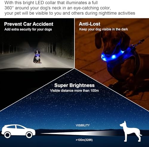 CHUKCHI LED Dog Collar Rechargeable,Waterproof Flashing Collar,Light Up Glow Collar, Adjustable Soft Safety Light Up for Small Medium Large Dogs Walking Camping at Night (Blue-M)