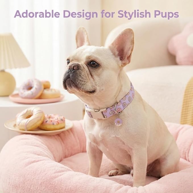 Girl Dog Collar with Unique Purple and Donut Print, Cute Dog Collar for Spring & Summer, Adjustable Pet Collar for Small Dogs