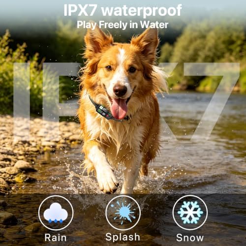 GPS Wireless Dog Fence System