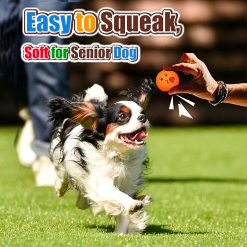 HOLYSTEED Latex Squeaky Dog Balls for Small Dogs, Mini Breed, 2" Round Toys