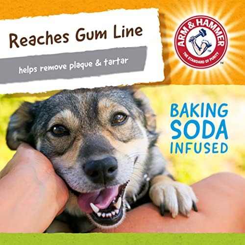 Arm & Hammer for Pets Nubbies Duality Bone Dental Dog Toy| Best Chew Toy for Moderate Chewers | Helps Reduce Plaque & Tartar | Green Apple Flavor Baking Soda (Pack of 2)