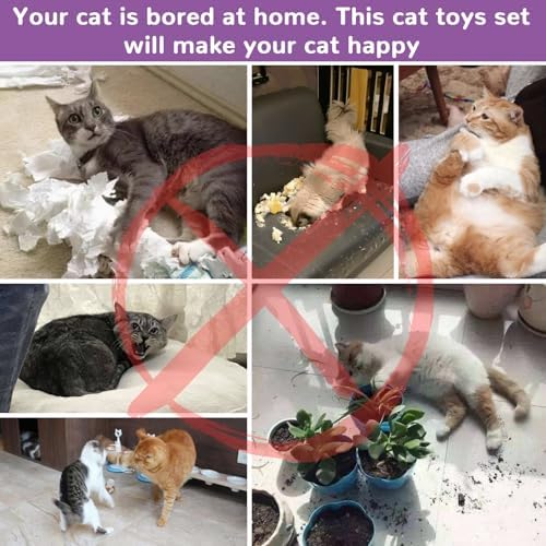 Retro Shaw Interactive Cat Toys for Indoor Cats Kitten,Relieve Bored,25PCS | 4PCS Collapsible Tunnels, Large, Safe and Durable, Kitten Game Hiding Spot Self-Play Chase Exercise