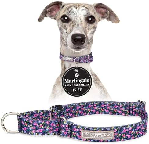 Lucky Love Dog Martingale Collar for Medium Dogs No Slip – Primrose, Medium