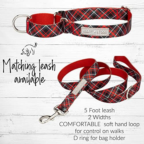 Lucky Love Dog Martingale Collar for Small Dogs No Slip – Heywood, Small