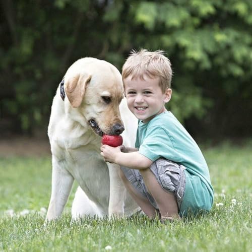 KONG Classic Stuffable Toy, Natural Rubber, Extra Large Dogs (Pack of 2) | Treat-Filling Fetch & Chew Toy with Erratic Bounce, Made from KONG Durable Natural Rubber for Extended Playtime