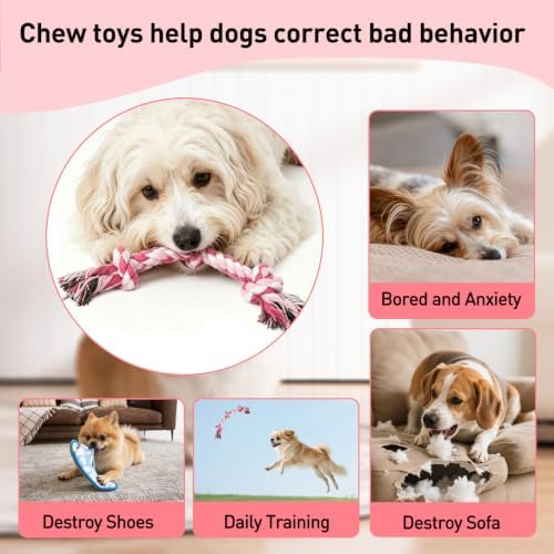 SZEE Dog Rope Toy 2-Pack, Rope Toys for Dogs, Suitable for Small Breeds