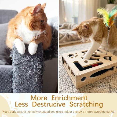 2026 New Cat Nail File Scratcher Puzzle Enrichment Box with Built-in Sandpaper 5 Balls & 1 Feather Wand Toys, Rufftopia Cat Claw Saver Interactive Toy Stress-Free Alternative to Clippers & Grinders