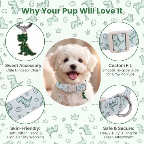 Dinosaur Dog Collar, Large Dog Collar for Boy Dog, L