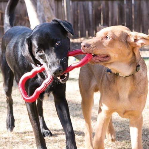 KONG Tug Toy, Natural Rubber Dog Toy for Tug of War, for Medium/Large Dogs