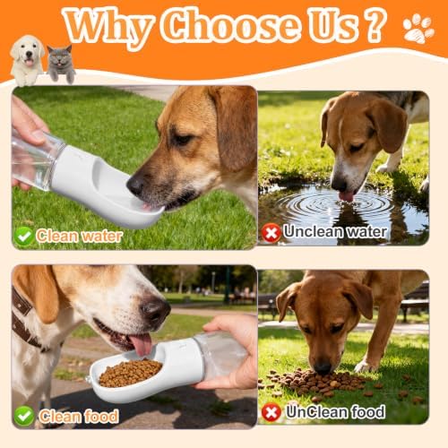 Portable Dog Water Bottle with Food Container, White, 19oz