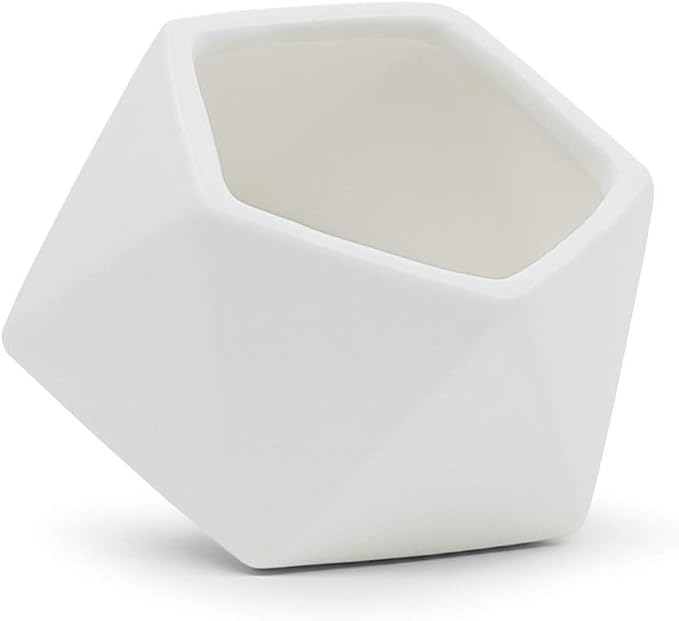 WGV Geometric Ceramic Vase, Width 5", Height 4.3", Matte White Tilted Pot, DIY Folded Planter Bowl for Wedding Event Office Home Decor, 1 Piece