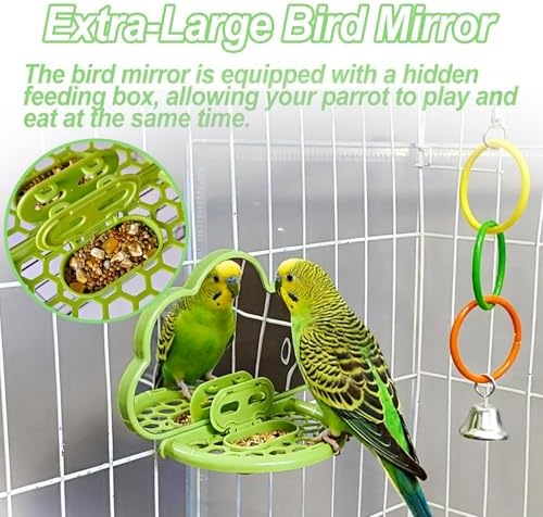 Bird Mirror with Perch Stand & Slow Feeder,Parrot Toys Swing(Green)