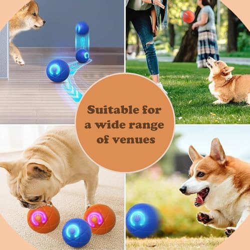 Interactive Duraspin Dog Ball, Self-Bouncing Vibrating & Auto-Rolling, Auto Stop Touch Start Jumping Ball Toy for Small/Medium Dogs (52mm, Orange)