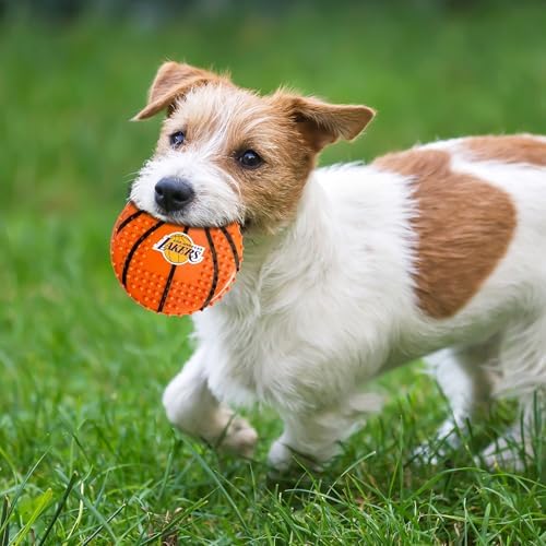 Pets First NBA LA Lakers Hard-Nylon Bacon-Flavored Basketball Chew Toy, Indestructible Dog and Cat Chewy Toy, Tug, Fetch Toy, Sporty Fun Toy for Dogs