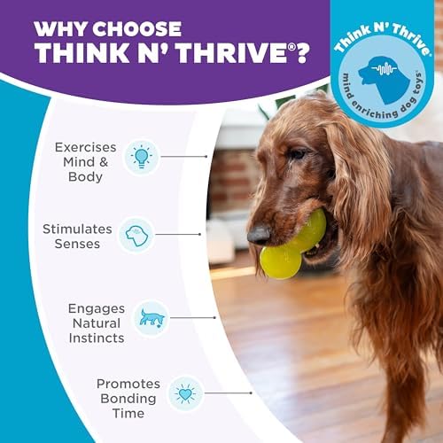 Outward Hound by Planet Dog Double-Tuff Stuffable Dog Toy, Large 5-Inch Green - Treat Dispensing Chew Ball for Medium to Large Dogs, Interactive Puzzle for Enrichment & Slow Feeding
