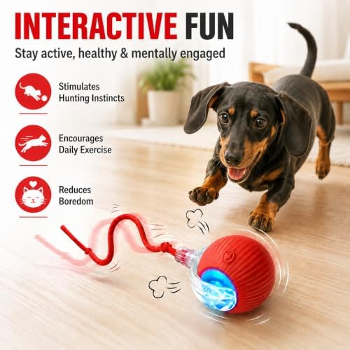 Interactive Automatic Rolling Chase Indoor Cat and Dog Ball Toy | 3 Different Rope Tails Smart Electric Moving Stimulating Rechargeable Self Play Teaser for Boredom Pet, with Rope