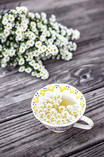 Hawaiian Paradise Tea (Chamomile) Cups - Single Serve Cups 12 Count - Sustainably Produced in Hawaii, USA - Compatible with Keurig K-Cup Brewers -