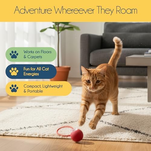 Oh My Cat! Interactive cat Toys – Automatic Electric self-Play Toy Pack Supplies for Bored Indoor Cats, Kittens, and Adult Pets; Moving Stimulation Games, Cute Catnip Ball, Funny Exercise Gift