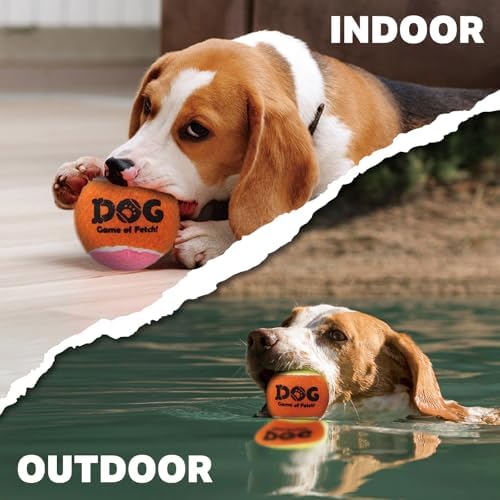 AMA SPORT Squeaky Tennis Balls for Dogs 2.0" Small Dog Tennis Balls for Throwing and Fetching Dog Toys for Training, Exercise, High Bouncing 6 Pack (Multicolor A)