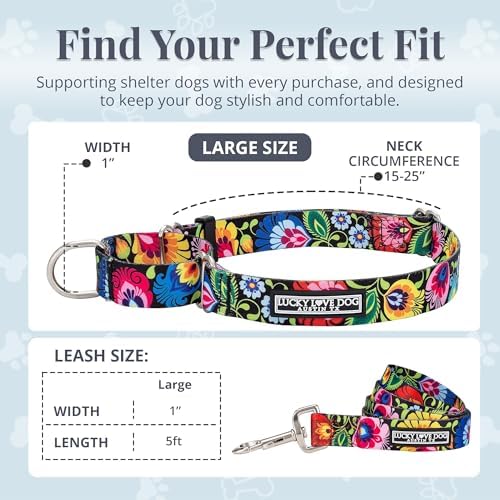Lucky Love Dog Martingale Collar & Leash Set No Slip – Blackbird, Large