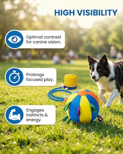 Herding Ball for Dogs,10 Inch Dog Training Balls with Heavy-Duty Handle Cover and Pump,Interactive Dog Toy Herding Ball for Australian Shepherd, Border Collie