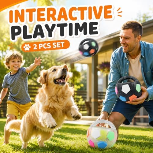 Tough Durable Ball Toy for Medium Large Dog