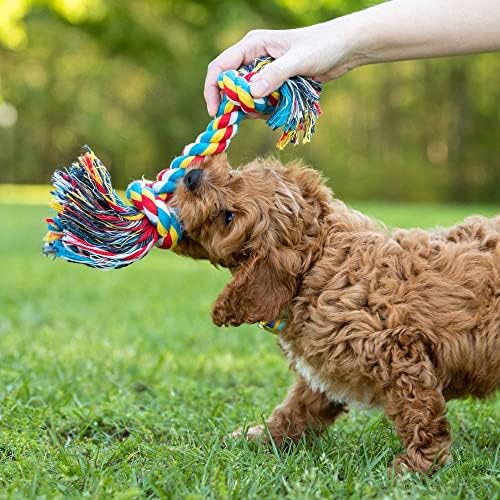 Jeffers Pet Rope Bone Dog Toy, Multi-Colored, 10" – Durable Braided Rope for Tug of War, Chewing & Fetch – Interactive Play for Pets – Machine Washable Dog Game Toy, Supports Healthy