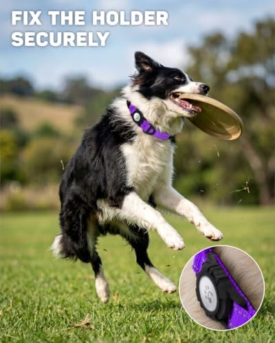 Padded Dog Collar with Waterproof Holder Compatible with Airtag