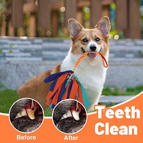 wodoca Interactive Dog Toys, Dog Rope Toys for Aggressive Chewers -Tough Rope Tug of War Dog Toys, Dog Tug Toy for Boredom for Small Medium Puppy Interacting Games (Orange)