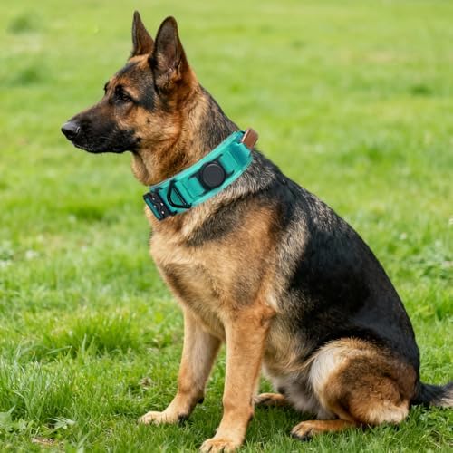 2" Tactical Dog Collar with Airtag Holder & Handle for Large Dogs (Teal)