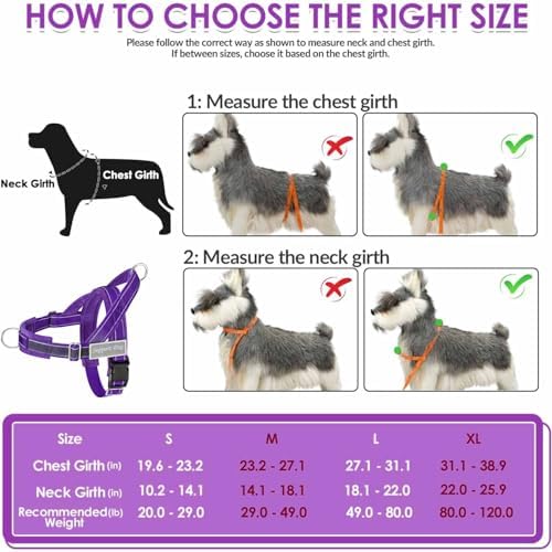 Lukovee No Pull Dog Harness and Leash Set, Soft Padded for Large Medium Dog