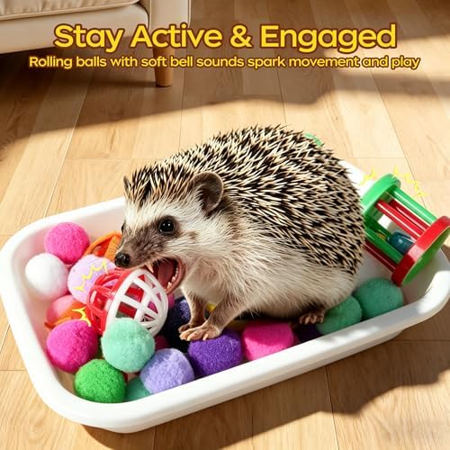 Hedgehog Toys & Accessories, Enrichment Toy Set with Dig Box & Balls