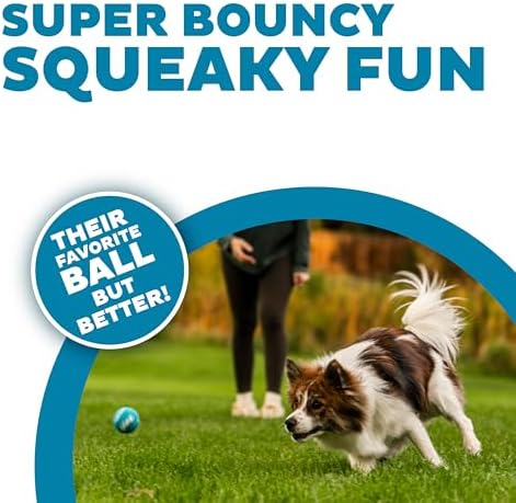 Outward Hound Squeaker Ballz Tennis Ball Dog Toy, Small, 2", 4‑Pack | Squeaks & Bounces, Bright Colors, Interactive Fetch & Training, Indoor Outdoor, Moderate Chewers, Small Dogs (Under 25 lbs)