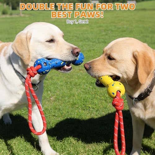 KOOLTAIL Floating Dog Pool Toys, Tough Interactive Water Fetch Bumpers with Durable Rope for Small Medium Large Dogs, 2 Pack Bright Dog Chew Toys Summer Outdoor Training Teething, Yellow&Blue