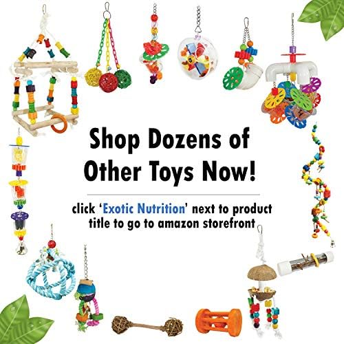 Willow Ball - Natural Safe Willow Branch Rattan Activity Chew Toy Cage Accessory - Rabbits, Guinea Pigs, Prairie Dogs, Chinchillas, Degus, Rats, Hedgehogs, Squirrels, Parrots, & Small Pets