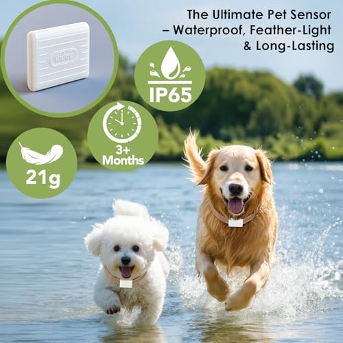Large Pet Door Collar, Included 2 Sensor Collar (Large Size)