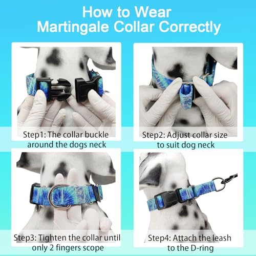 Martingale Collar with Buckle Blue Tie Dye Training Collar Adjustable Nylon Boy Dog Collars (Blue Teal, Medium)