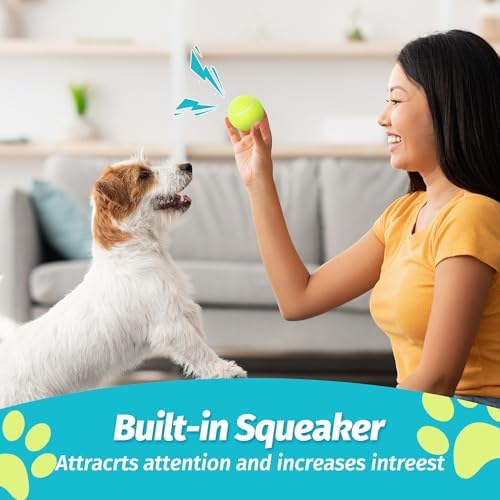 PrimePets Tennis Balls for Dogs, 12 Pack 2.5” Durable Squeaky Dog Balls with High Bounce for Outdoor Play, Interactive Fetch & Training Dog Toys for Small and Medium Breeds