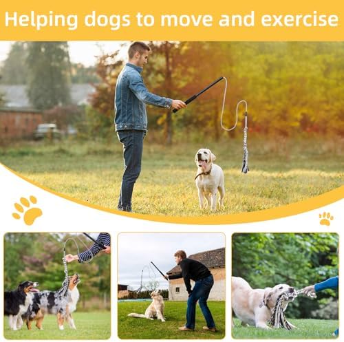 Gingull Outdoor Flirt Pole for Dogs - Interactive Toy Teaser Wand for Dogs Outdoor Chase and Tug of War Heavy Duty Dog Flirt Pole, Durable Pet Toys for Dog, Black